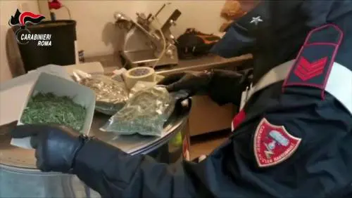 Roma, scoperta piantagione di marijuana a due passi da Villa Adriana