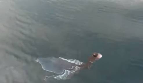 Avvistata strana creatura nelle acque del Vietnam