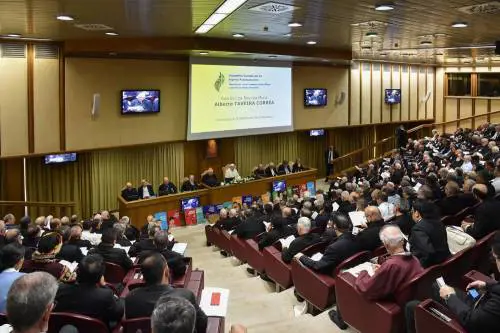 Sinodo per l'Amazzonia, il femminismo debutta in Vaticano