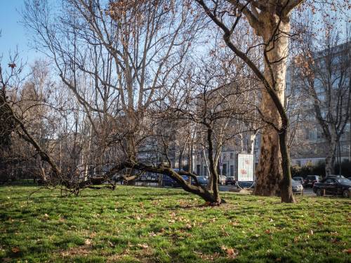 Arriva la nuova ciclabile: in corso Sempione più verde e meno auto