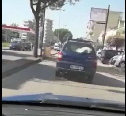 Trasporta il pony nel bagagliaio dell’auto: il video choc