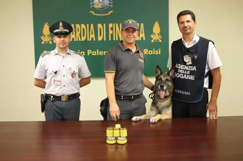 Così i cani Ugo e Alex fiutano la droga nelle parti intime