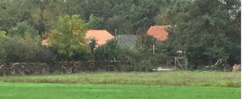 Olanda, famiglia chiusa in cantina da nove anni in attesa dell'Apocalisse