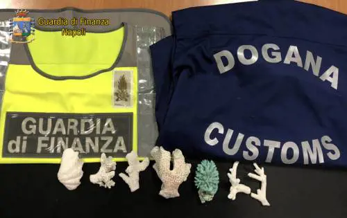 Coralli protetti in valigia, stangati al rientro dalle vacanze