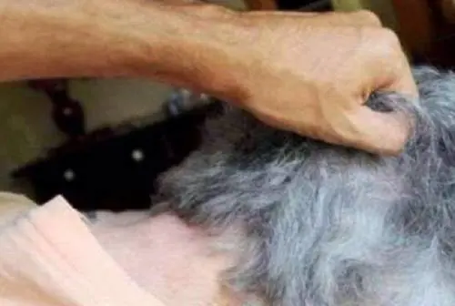 Caserta, picchia genitori e sorella per soldi: arrestato 49enne