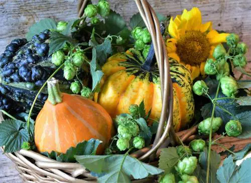 Tutte le proprietà benefiche della zucca