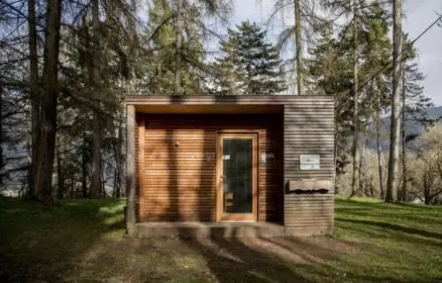 Che fine ha fatto Spelacchio? È diventato una baby home (abbandonata)