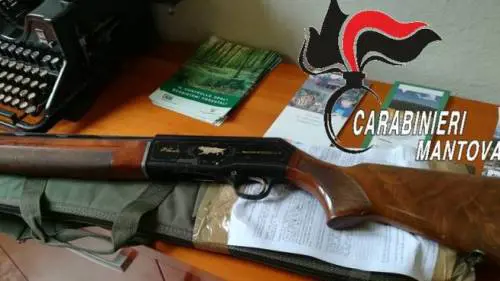 Mantova, denunciati in quattro: braccavano specie protette