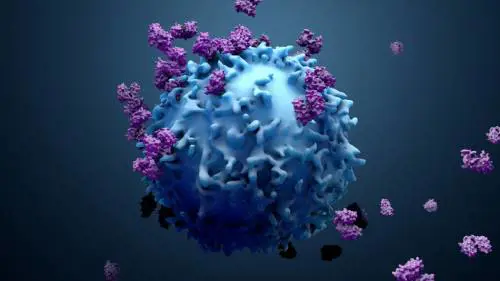 Cancro, i ricercatori inglesi vogliono ricostruire il "primo giorno di vita" della malattia