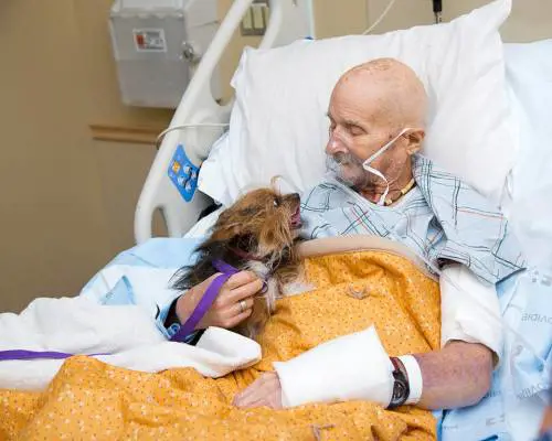 Foto di Albuquerque Animal Welfare