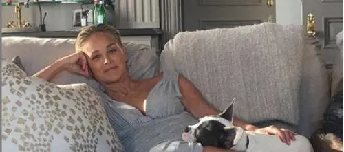 Sharon Stone si iscrive a una app di incontri (ma le bloccano il profilo)