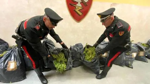 Fuga da film con 93 chili di erba in auto: arrestati