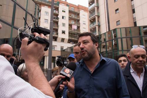 Salvini risponde agli avversari: "Come moscerini sulle vacche"