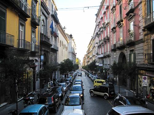 Napoli, invasione di insetti: allarme in via Duomo