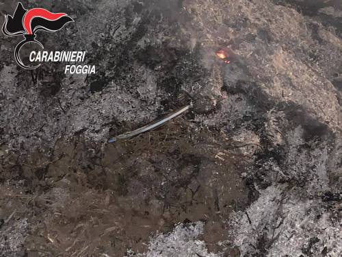 Cerignola, tre bulgari davano fuoco ai rifiuti in campagna: denunciati