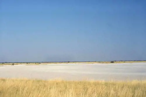 Nuova scoperta: la culla dell'umanità si troverebbe nell'attuale Botswana