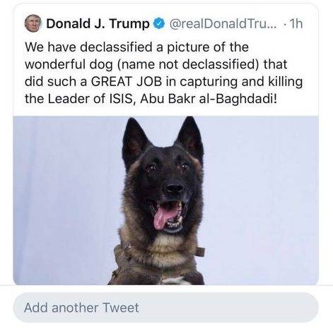 Conan, il cane soldato  che ha catturato Al Baghdadi