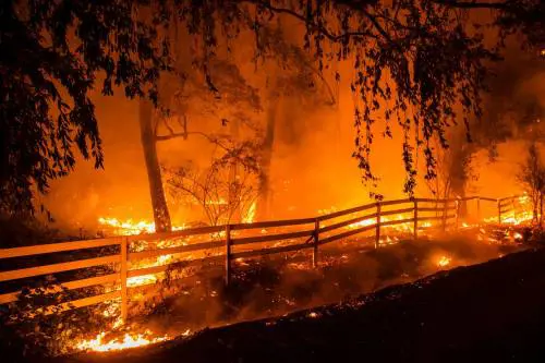 Gli incendi in California