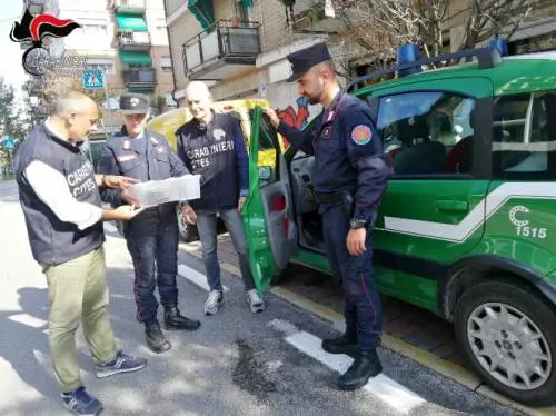 Trova un pitone reale nel giardino di casa