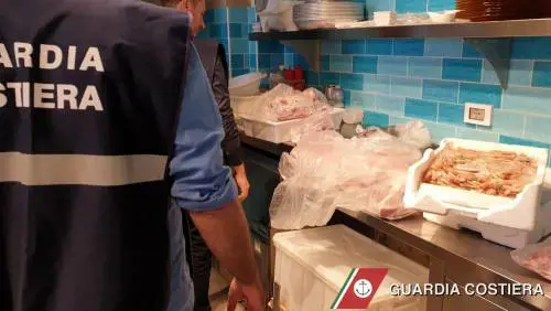 Maxi sequestro di pesce di dubbia provenienza a Brindisi