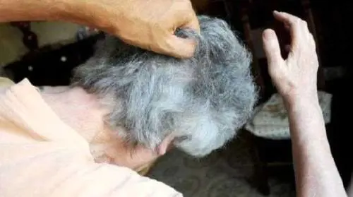 Maltrattava e picchiava la madre per avere denaro, arrestato 25enne