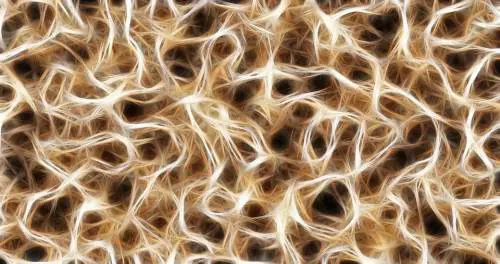 Morbo di Alzheimer: approvato in Cina farmaco a base di alga bruna