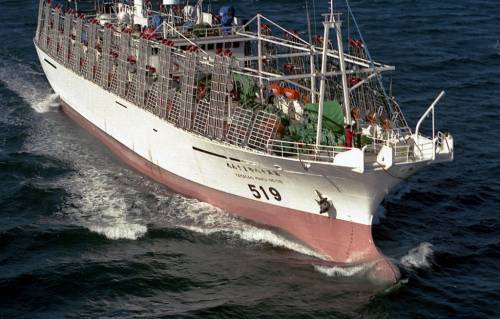 Pescatori nordcoreani uccidono il loro comandante e 16 membri dell'equipaggio
