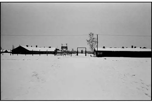 "Il male": ad Arezzo la mostra fotografica di Ivo Saglietti
