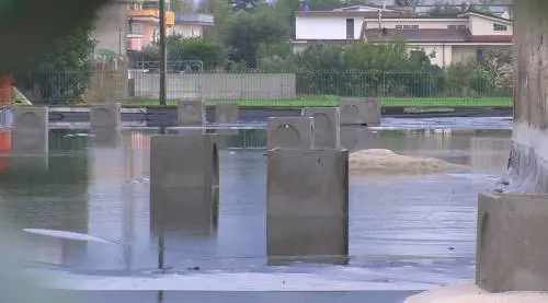 Così si presenta Agrimonda con il telo contro le esalazioni