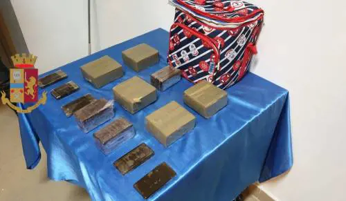 L'hashish? Nella borsa frigo
