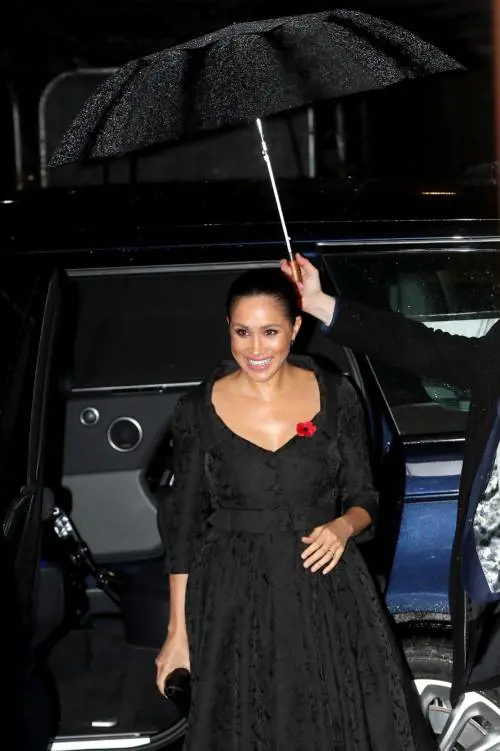 Meghan Markle potrebbe diventare Presidente degli Stati Uniti?