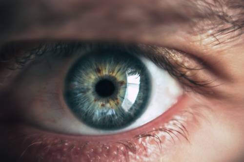 Come i nostri occhi rivelano il rischio di infarto e ictus