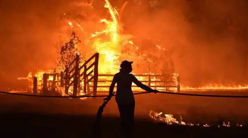 L'Australia è in fiamme, 600 scuole chiuse: "Emergenza catastrofica"
