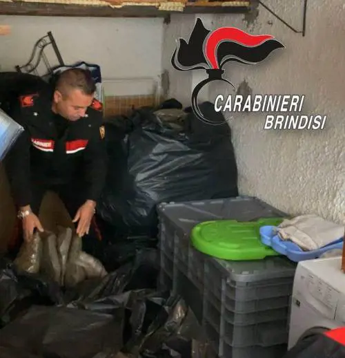 Brindisi, nascondeva oltre un quintale di droga: arrestato