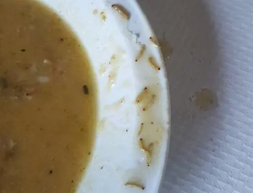 Vermi nel cibo della mensa a scuola: scoppia il caso a Marano