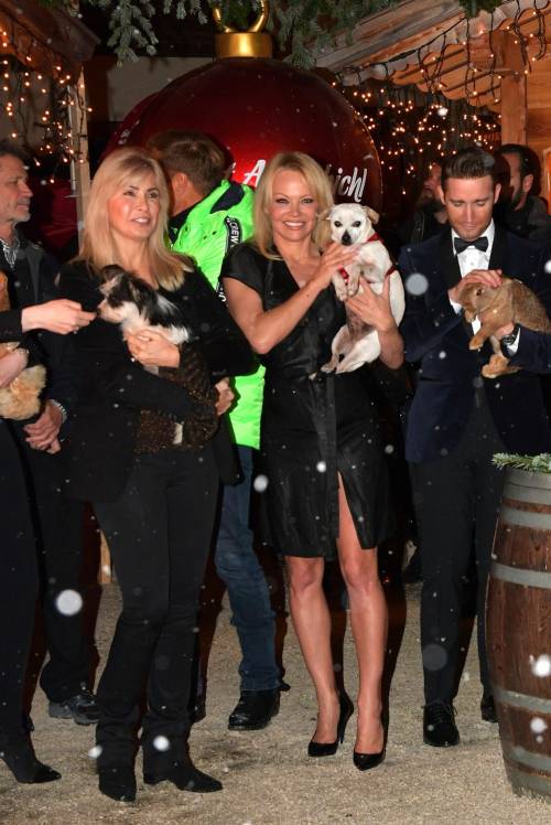 Pamela Anderson all'evento dedicato alla salvaguardia degli animali 