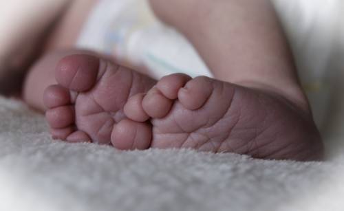 Firenze, corpo di neonata trovato in un sacchetto: aveva ancora il cordone ombelicale