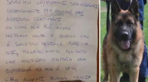 Muore Rocky, il cane antidroga che fa piangere pure gli spacciatori