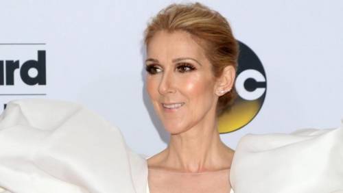 "Celine non si alza né muove più": paura per la cantante