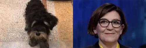 Il cagnolino della Trenta? Un'auto blu lo scortava al ministero