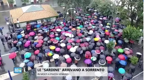 Dalle sardine ai quattro gatti. Ma lanciano il loro "manifesto"