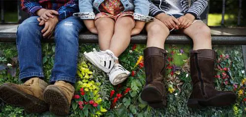 A Ferrara il Pd fa ricorso al Tar per fermare indagine su affidi