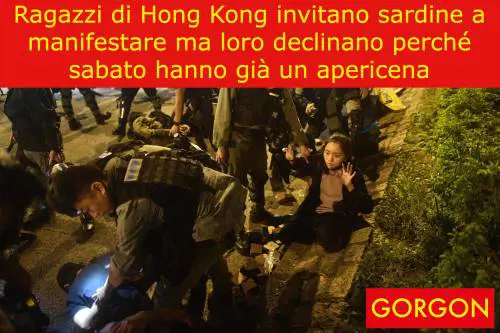 La satira del giorno: "sardine" invitate ad Hong Kong