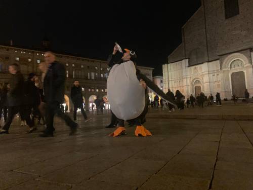 Bologna, a piazza Maggiore spunta il pinguino anti-sardine