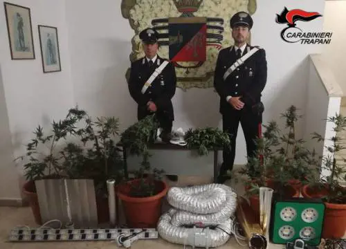 Coltivavano marijuana destinata allo spaccio, arrestati due marsalesi