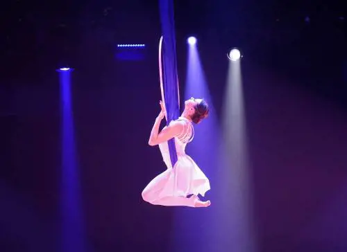 Acrobata si ferisce durante lo spettacolo, famiglie nel panico