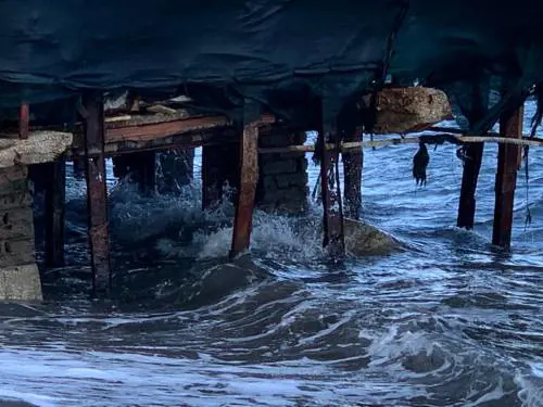 Le immagini dei rifiuti sulla spiaggia della Mandra