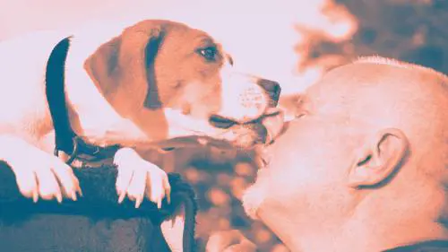 Il cane lo lecca, muore dopo giorni di sofferenza