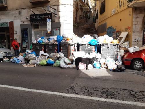 Le immagini dei cumuli di rifiuti in città