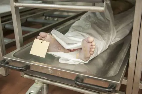 Parigi, bufera su un centro-donazione organi: "Cadaveri lasciati imputridire e divorare dai topi"